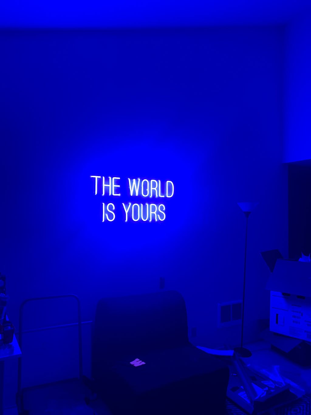 THE WORLD IS YOURS Neon LED Sign - Fancelite