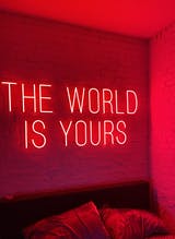 THE WORLD IS YOURS Neon LED Sign